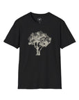 Olive Tree