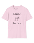 Little Burro