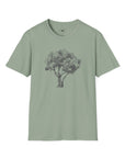 Olive Tree