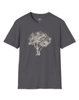 Olive Tree