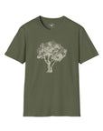 Olive Tree