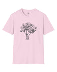 Olive Tree