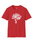 Olive Tree