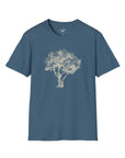 Olive Tree