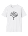 Olive Tree