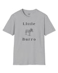 Little Burro