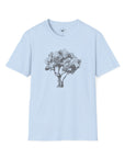 Olive Tree