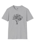 Olive Tree