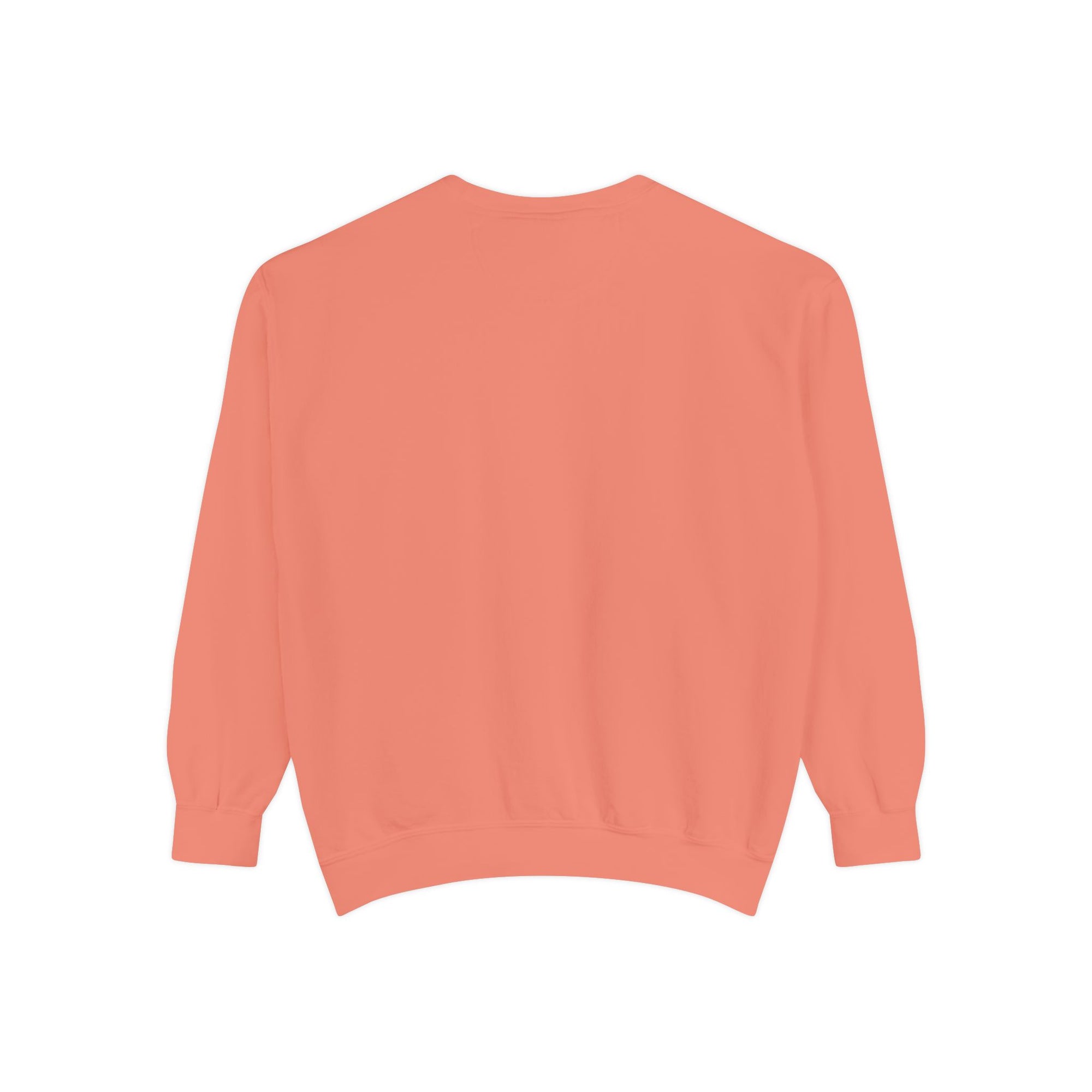 Naples garment dyed sweatshirt